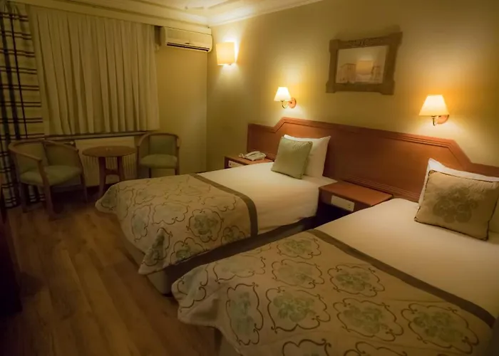 布伊泽尔特莫酒店