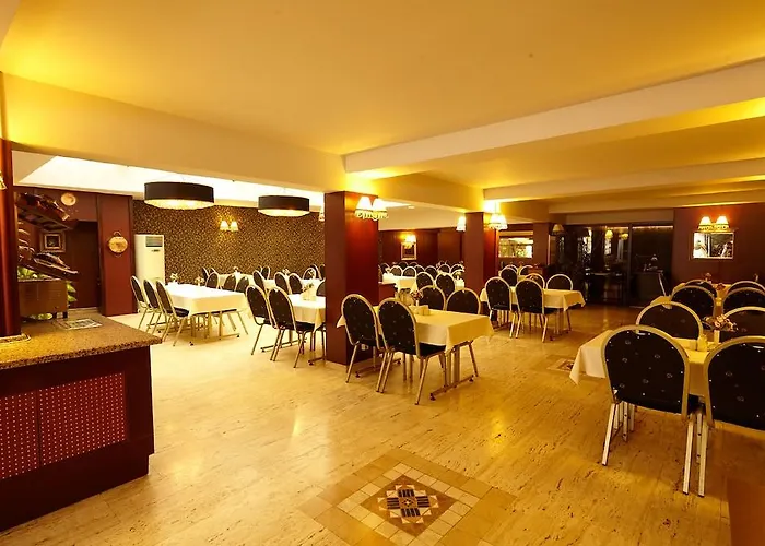 布伊泽尔特莫酒店 3*