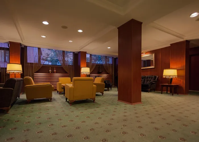 酒店 布伊泽尔特莫酒店