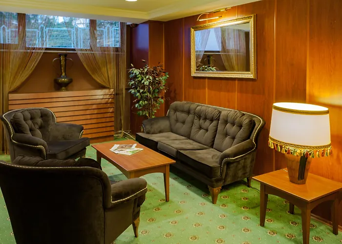 布伊泽尔特莫酒店 3* 伯萨