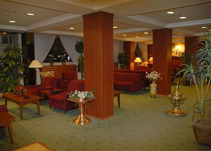 布伊泽尔特莫酒店 3* 伯萨