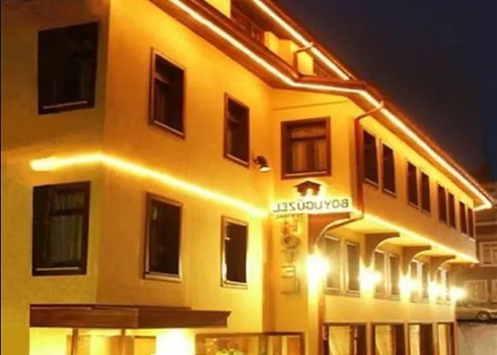 布伊泽尔特莫酒店