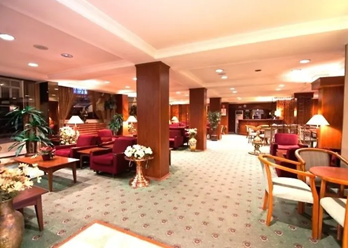 布伊泽尔特莫酒店 酒店