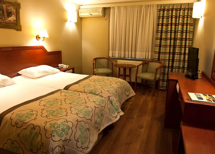 布伊泽尔特莫酒店 酒店 伯萨