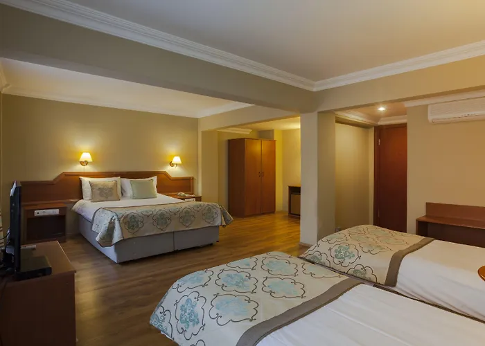 布伊泽尔特莫酒店