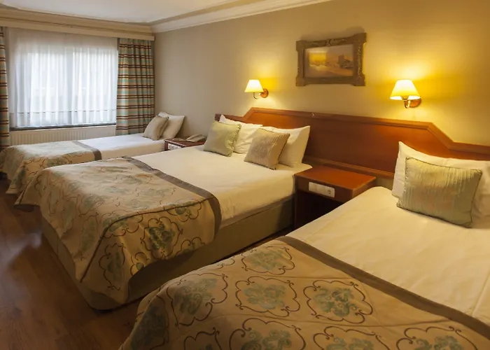 布伊泽尔特莫酒店 酒店 伯萨