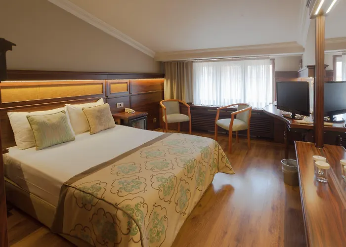 酒店 布伊泽尔特莫酒店 3*