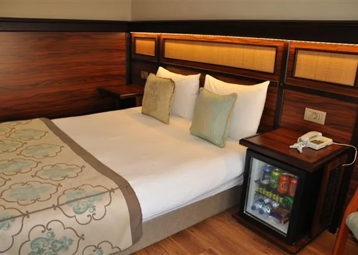 酒店 布伊泽尔特莫酒店 伯萨