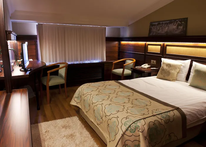 布伊泽尔特莫酒店