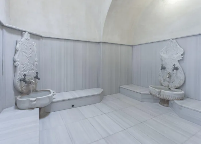 布伊泽尔特莫酒店 伯萨