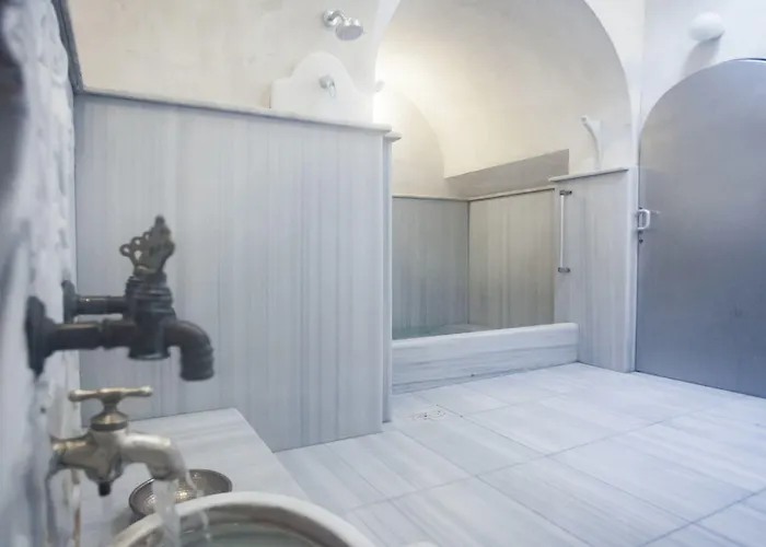 布伊泽尔特莫酒店 3* 伯萨