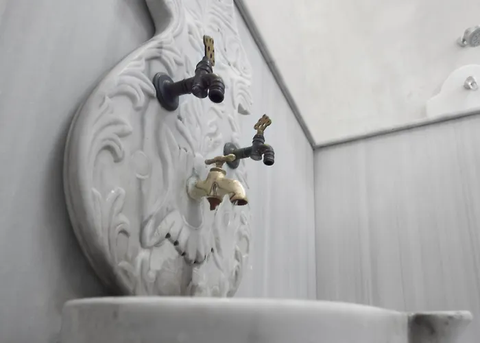 酒店 布伊泽尔特莫酒店 伯萨