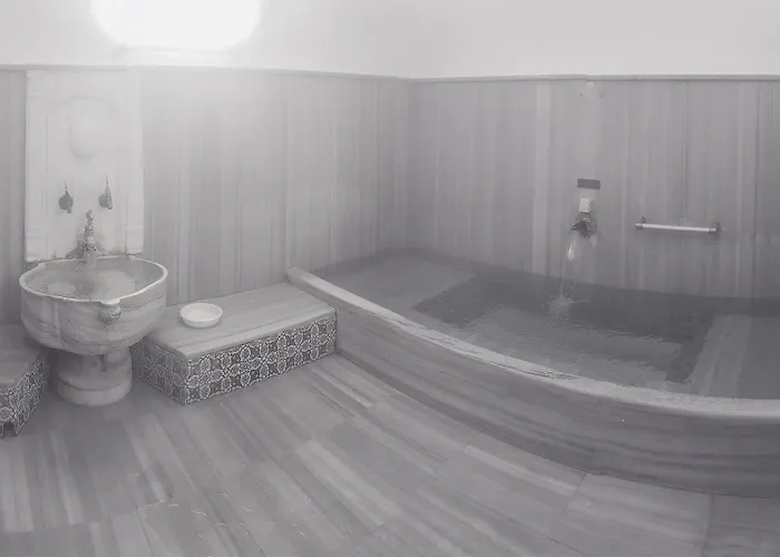 布伊泽尔特莫酒店 酒店 伯萨