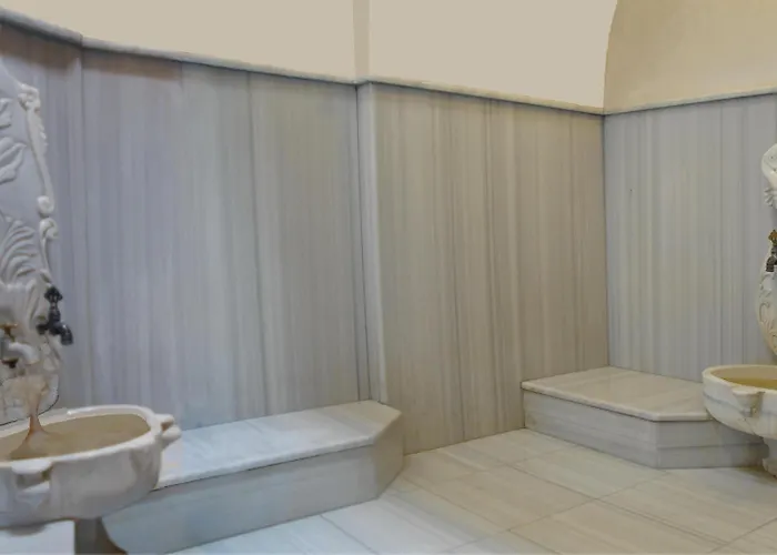 布伊泽尔特莫酒店 酒店