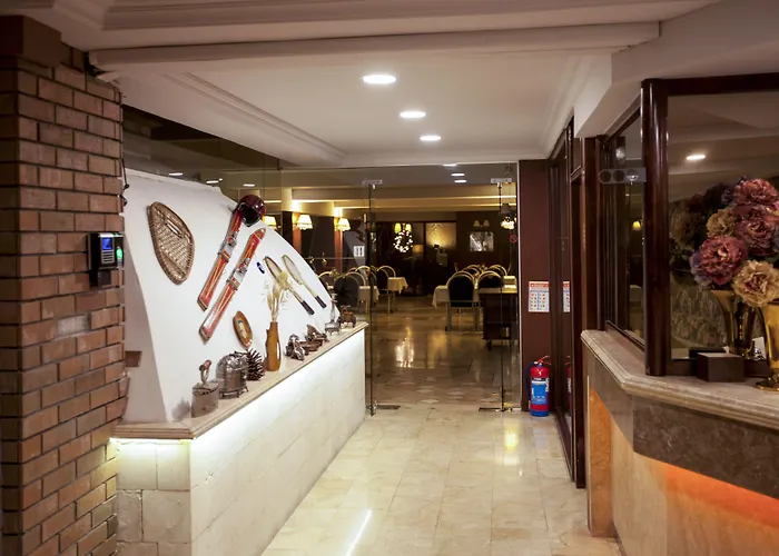 布伊泽尔特莫酒店 3*