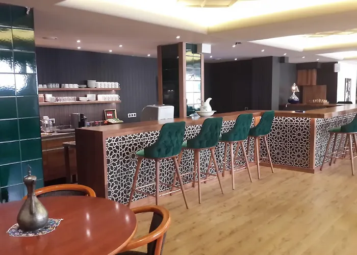 酒店 布伊泽尔特莫酒店 伯萨