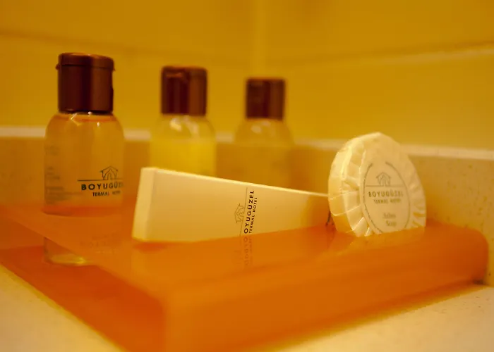 布伊泽尔特莫酒店 3*