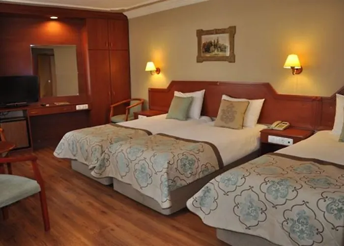 布伊泽尔特莫酒店 酒店