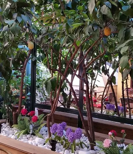 布伊泽尔特莫酒店