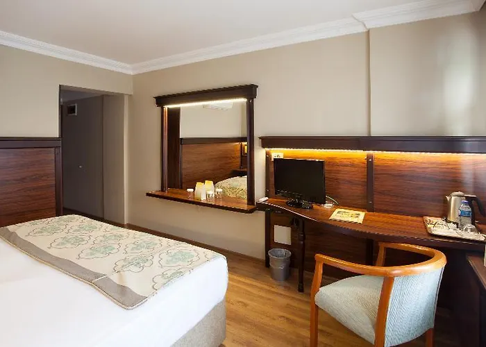 酒店 布伊泽尔特莫酒店 3*