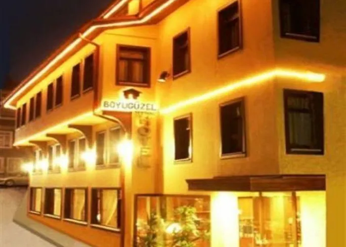 布伊泽尔特莫酒店