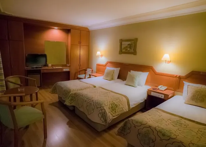 酒店 布伊泽尔特莫酒店 伯萨