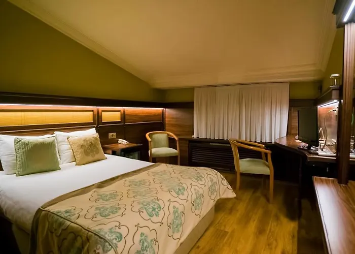 酒店 布伊泽尔特莫酒店 3*