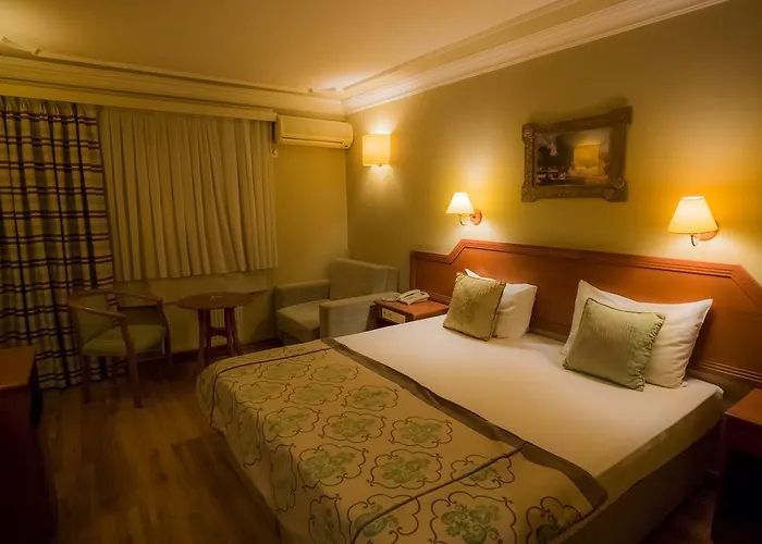 布伊泽尔特莫酒店 3*