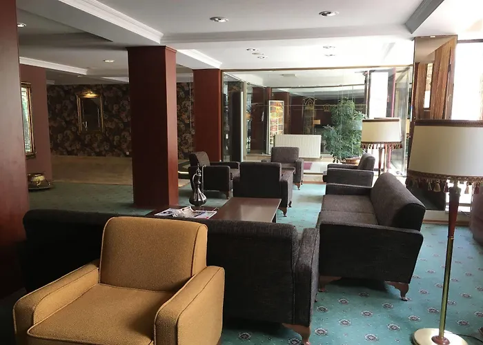 布伊泽尔特莫酒店 伯萨