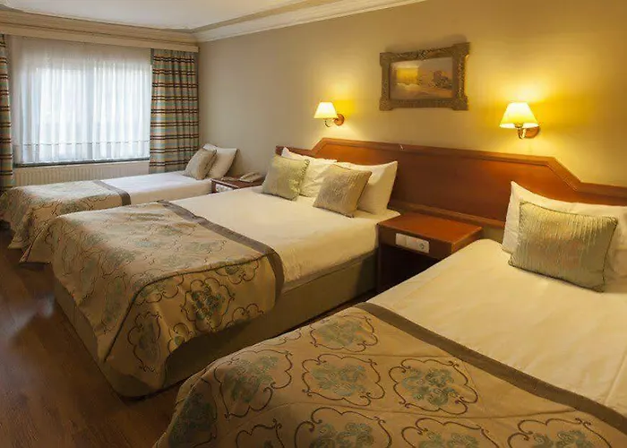 酒店 布伊泽尔特莫酒店 伯萨