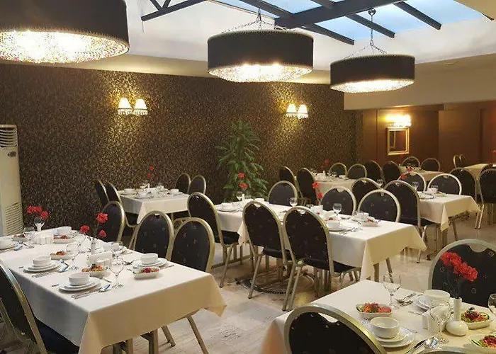 布伊泽尔特莫酒店 酒店 伯萨