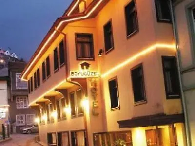 布伊泽尔特莫酒店 酒店