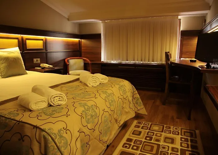 酒店 布伊泽尔特莫酒店